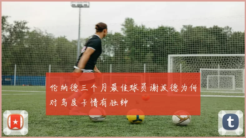 伦纳德三个月最佳球员谢泼德为何对乌度卡情有独钟