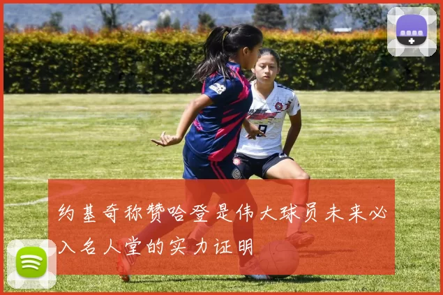 约基奇称赞哈登是伟大球员未来必入名人堂的实力证明
